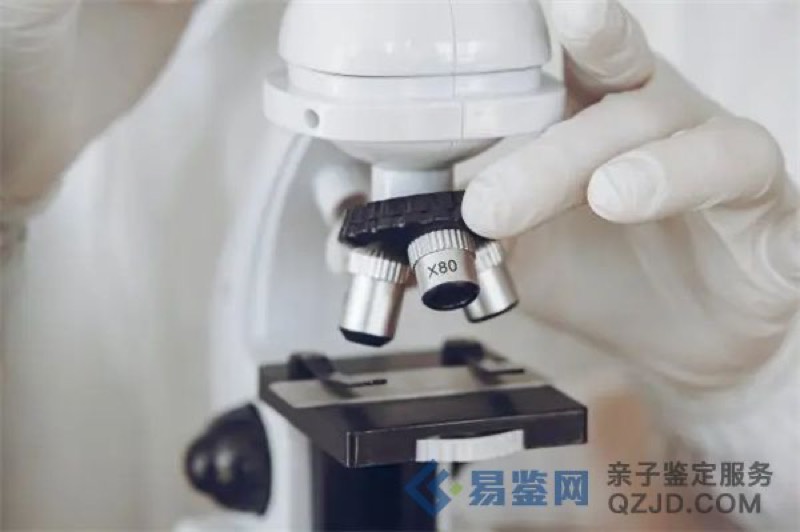 想知道亲子鉴定多久出结果吗？